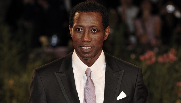 Wesley Snipes Has A Role In Follow-Up