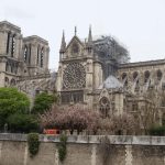 Construction Workers Back to Work at Notre-Dame