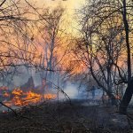 About 1,000 People Evacuated Due to Forest Fires in Northern Spain