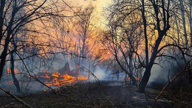 About 1,000 People Evacuated Due to Forest Fires in Northern Spain