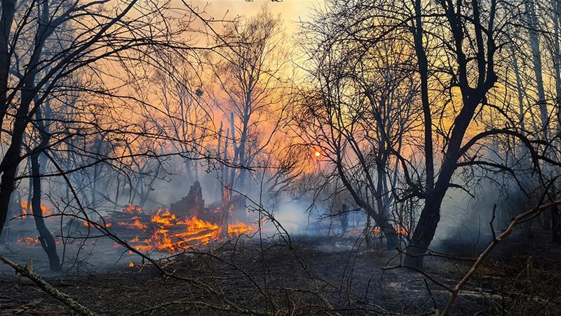 Almost All Forest Fires in Turkey Under Control