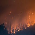 Father and Son Arrested for Causing California Wildfire