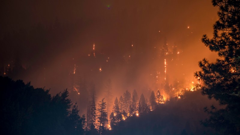 Father and Son Arrested for Causing California Wildfire