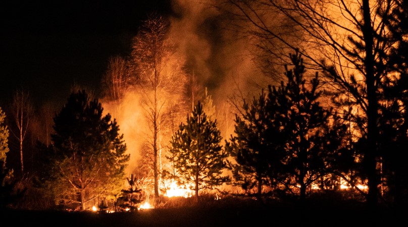 Catalonia Asks Army and Farmers for Support in Fighting Forest Fires