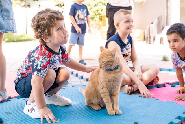 Choosing the Right Waterproof Mat for Pets: A Complete Guide